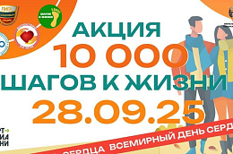 Ежедневная ходьба — простой путь к долголетию!